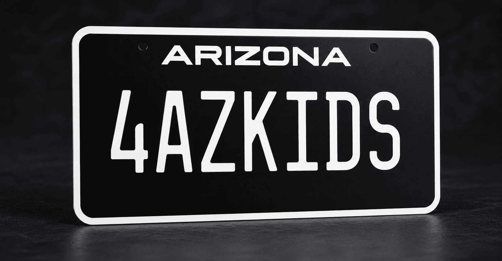 Arizona Blackout Plate by itself in a 3D studio render