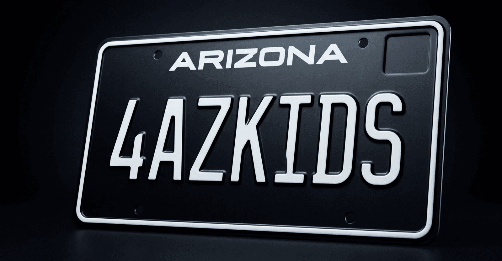 Arizona Blackout Plate by itself in a 3D studio render